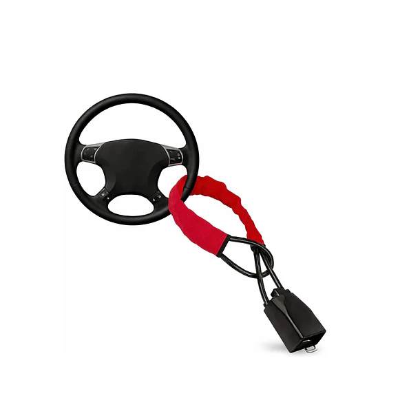 Traba Volante Auto Antirrobo Universal Seguridad Cinturón  1