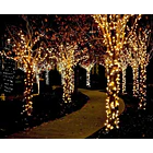 Luces Navideñas Led 100l De 5 Metros Con 8 Modos Enchufe 4