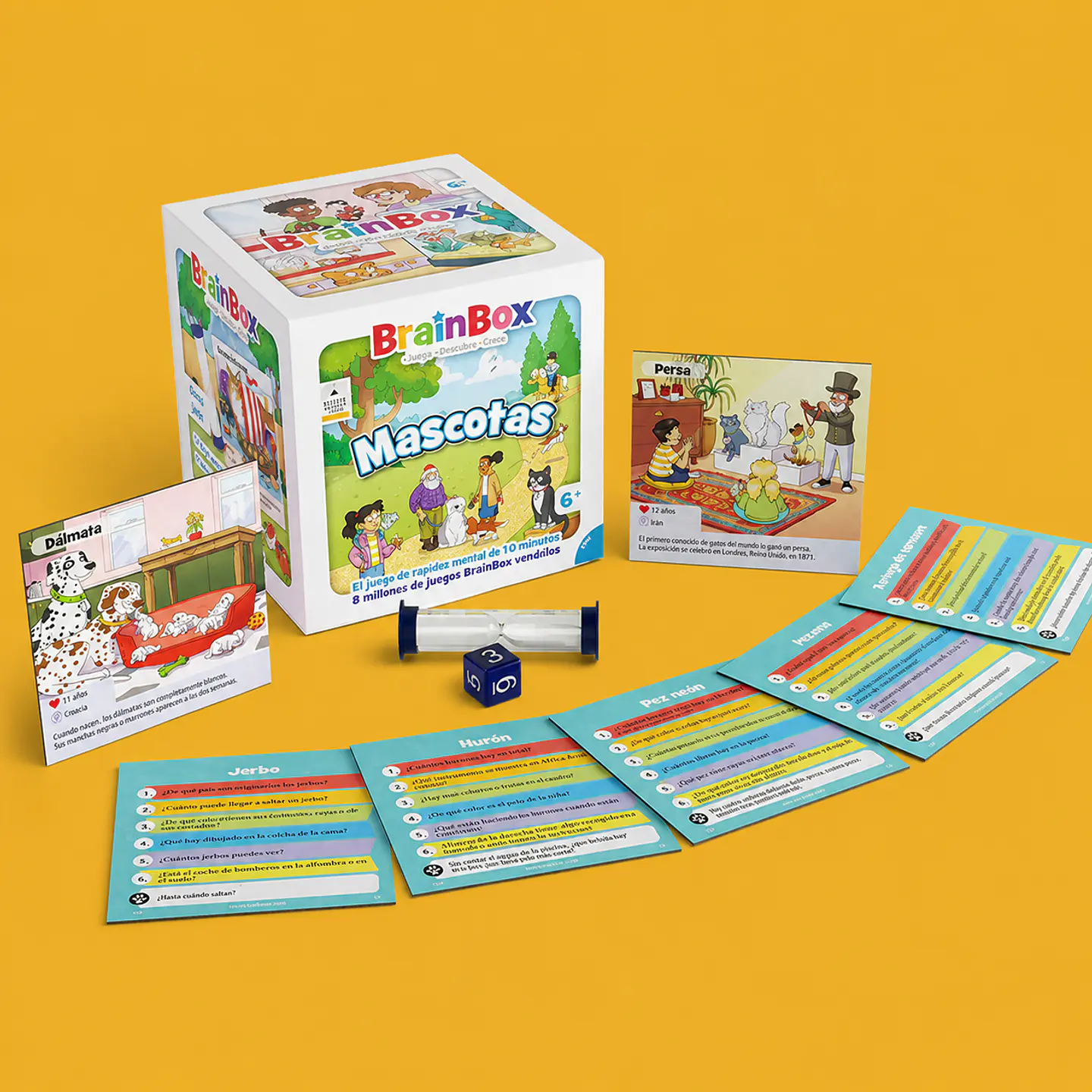 Brainbox Mascotas 1
