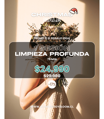 Limpieza facial - 1 sesión