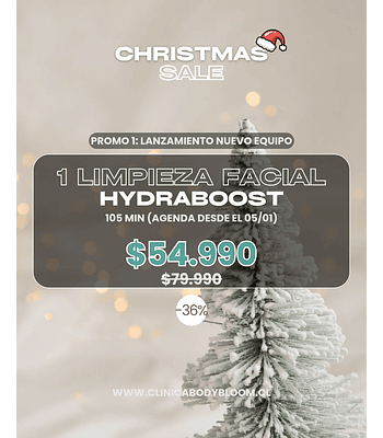Limpieza Facial Hydraboost