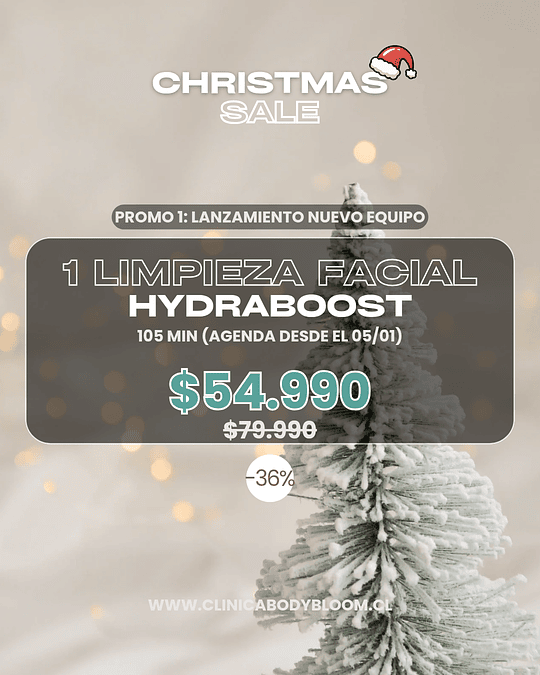 Limpieza Facial Hydraboost