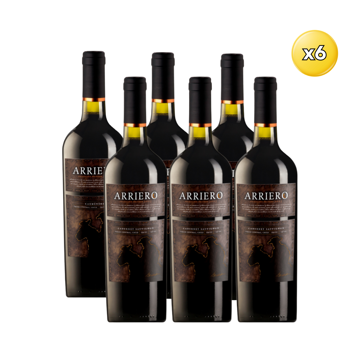 Arriero Seleccion Privada Cabernet Sauvignon - Caja 6 Unidades 1