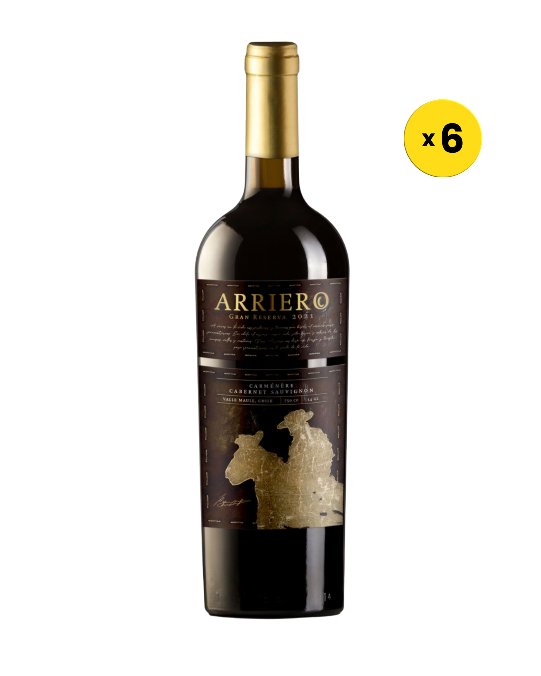 ARRIERO GRAN RESERVA CARMENERE  1