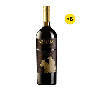 ARRIERO GRAN RESERVA CARMENERE 