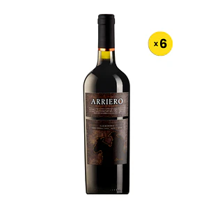 ARRIERO SELECCIÓN PRIVADA CARMENERE