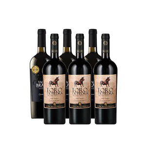 MIX VACA Y TORO CABERNET SAUVIGNON