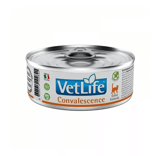 VETLIFE WF CAT CONVALESCENCE 85 gr