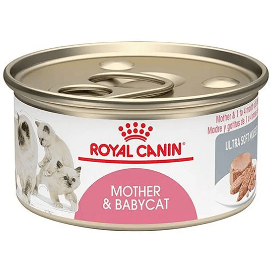 MOTHER AND BABYCAT LATA 145 GR