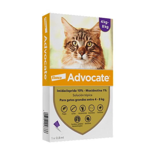 ADVOCATE S.O. CATS PIP.0,8ML 4-8K