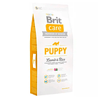 BRIT CARE DOG HYPOALLERGENIC PUPPY LAMB 2