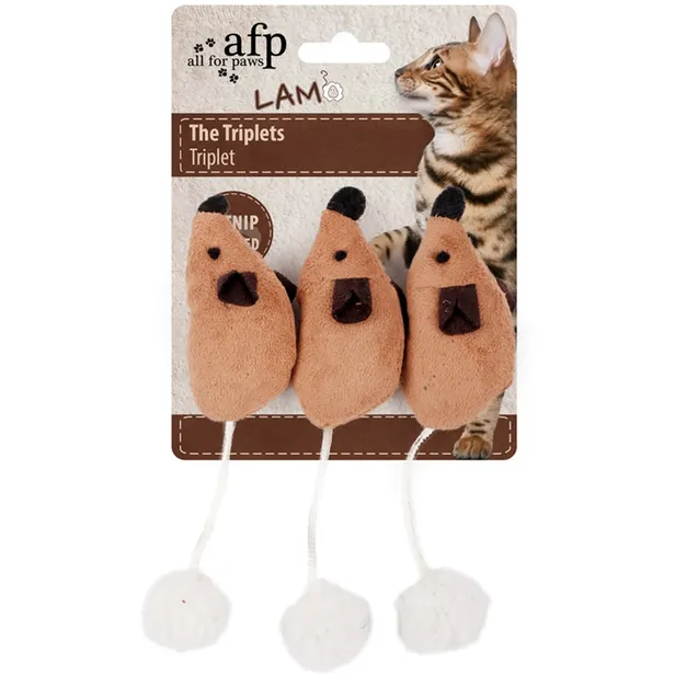 AFP Lamb Triplets Mice