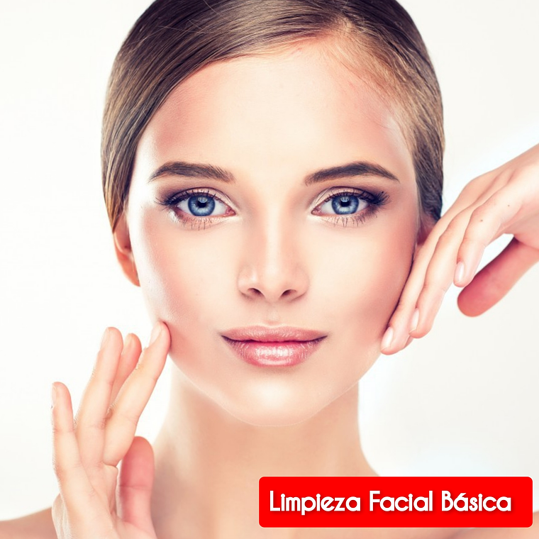 Limpieza Facial Básica Dermik  1