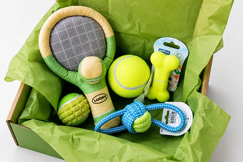 🎾 Caja Tenis 🎾