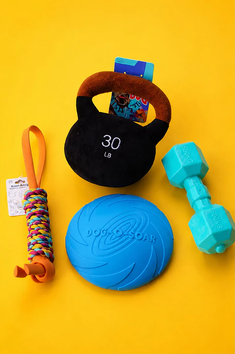 💪 Caja Fitness Dog 🏋️‍♂️🐶