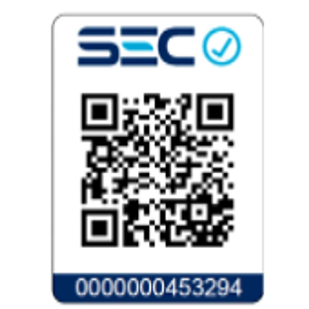 Generador eléctrico gasolina de 5,5KVA Toyaki 2