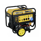 Generador bencinero 13,7 kva - 11 kw 220V SDS  1