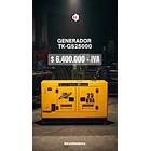Generador Industrial Toyaki Diesel 25KVA Ultra insonorizado 1