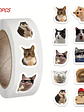 Rollo 500 Unidades Sticker Gatitos  Gato Meme (10 modelos de gatito diferentes en sticker) - Miniatura 2