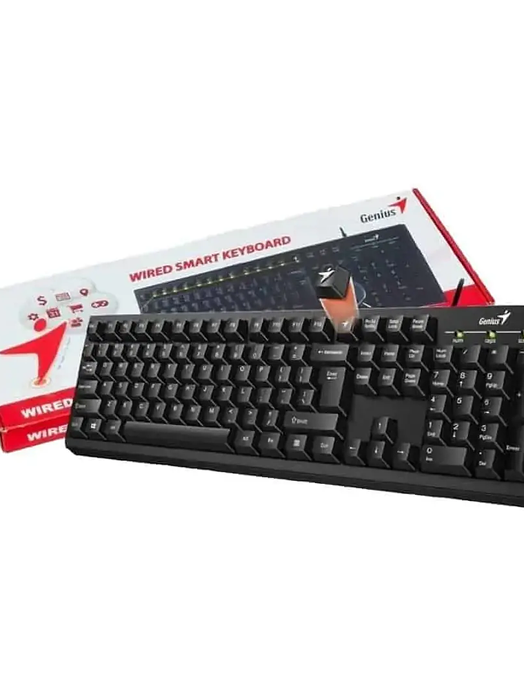 TECLADO GENIUS SMART KB-100 1