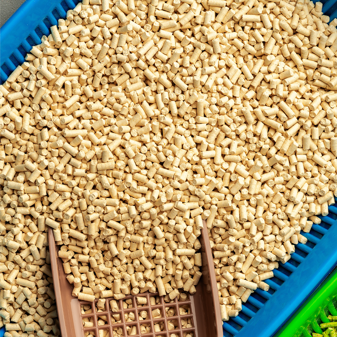 Demo - Litter (gato) 1