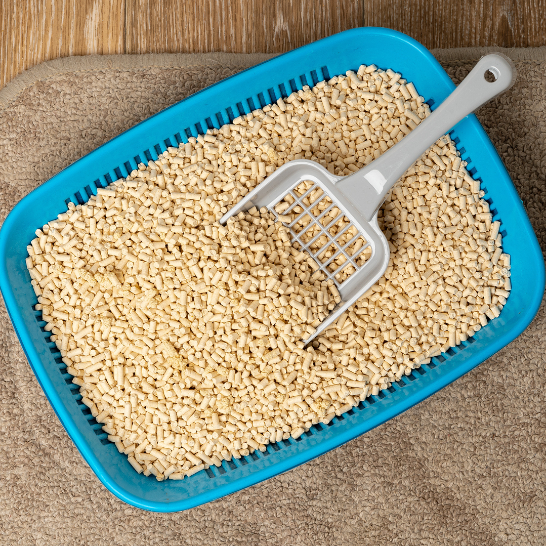 Demo - Litter (gato) 2