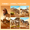 Set de animales safari