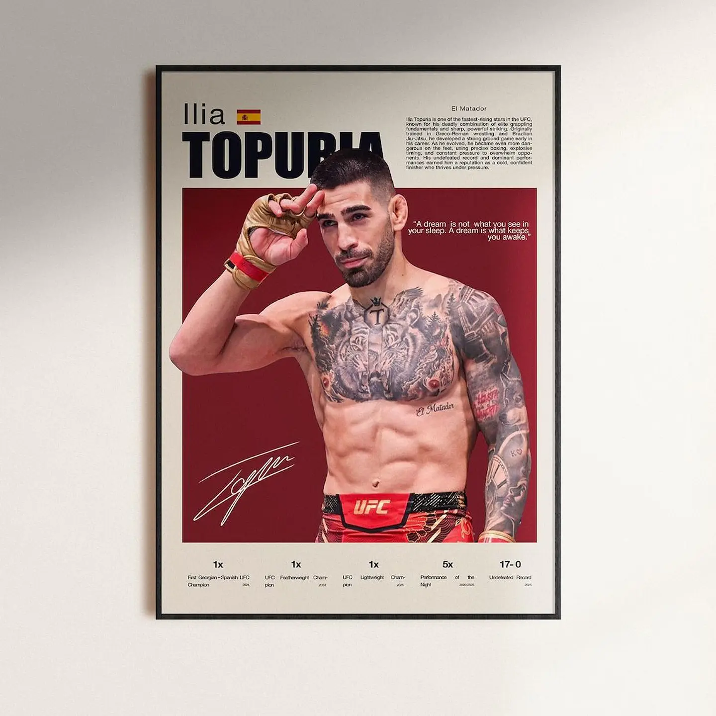 Cuadro De Ilia Topuria UFC I Peleador MMA + Marco 1