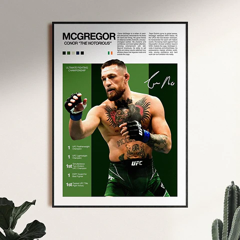 Cuadro Ufc Conor Mcgregor Irlandes Mma + Marco