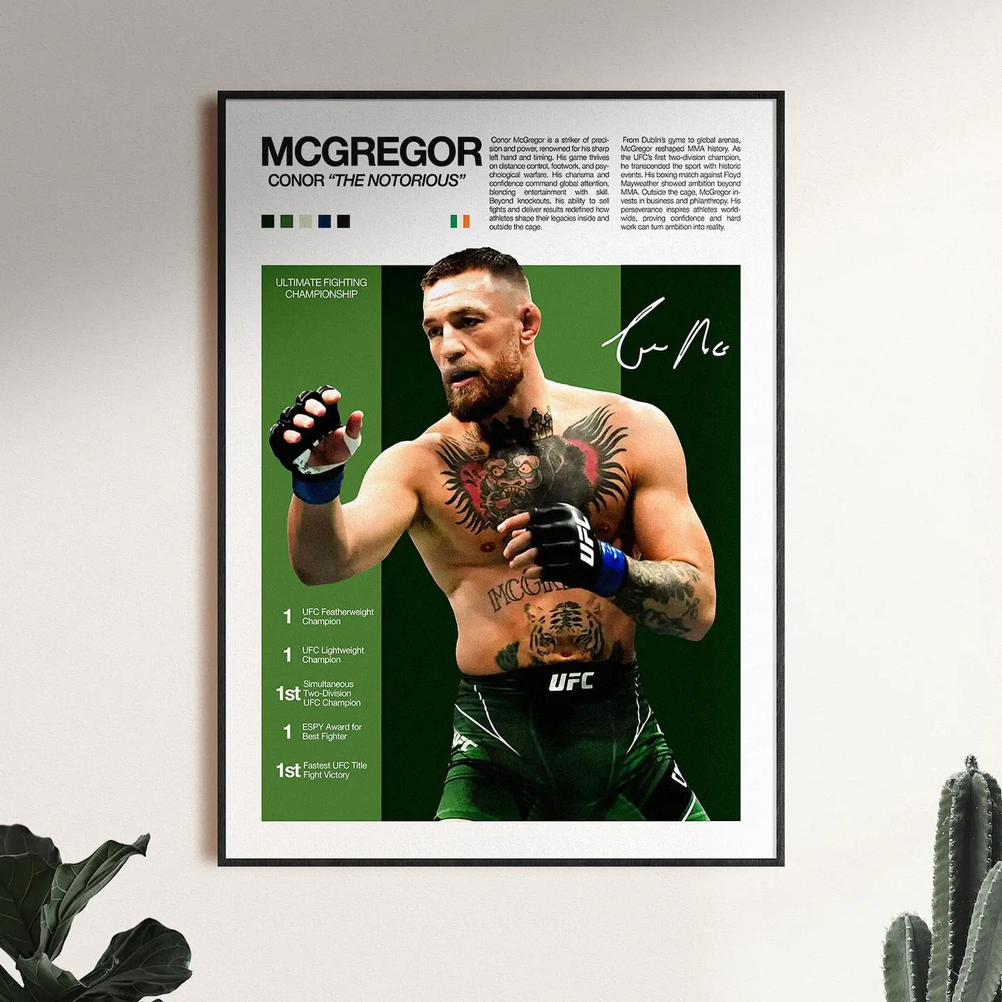 Cuadro Ufc Conor Mcgregor Irlandes Mma + Marco 1