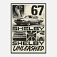 Mustang Shelby Unleashed - 67 + Marco - Miniatura 2