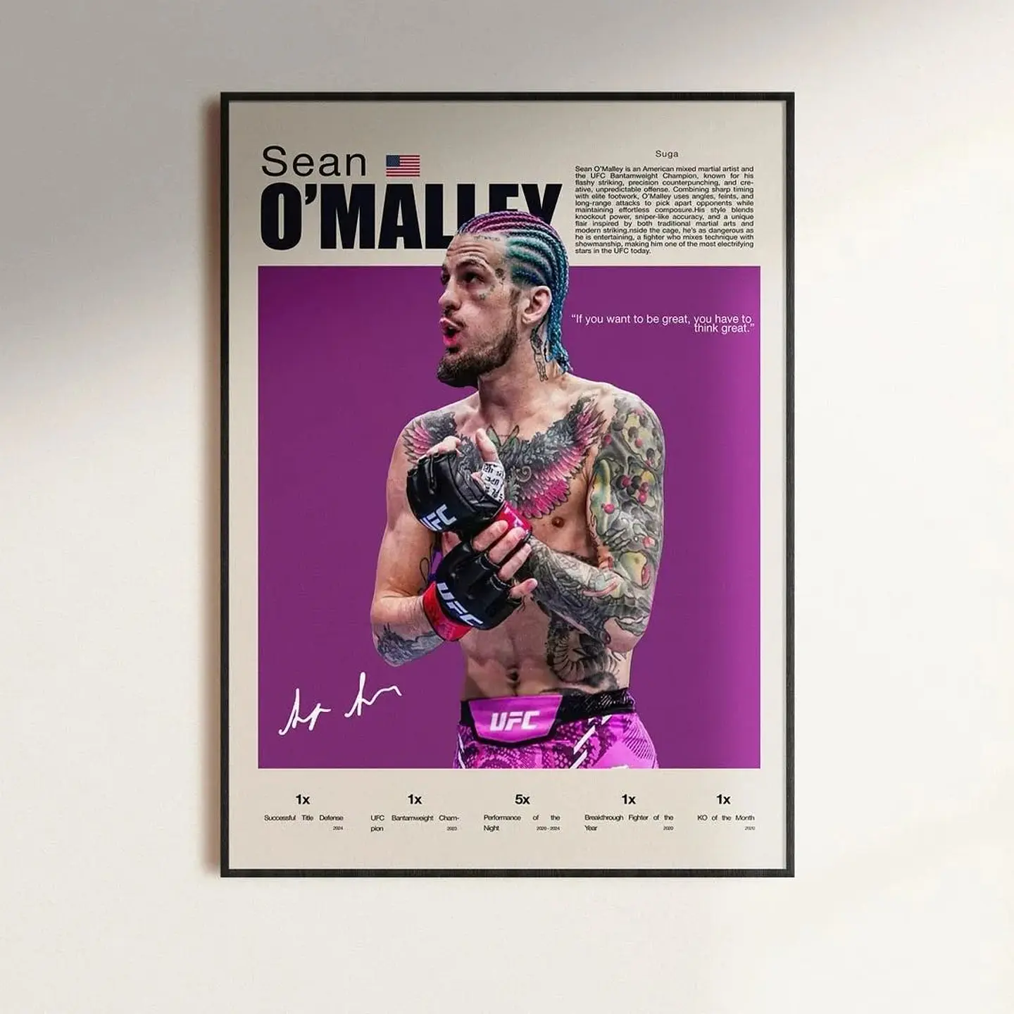 Cuadros De Sean Omalley I Ufc Peleador Mma + Marco 1