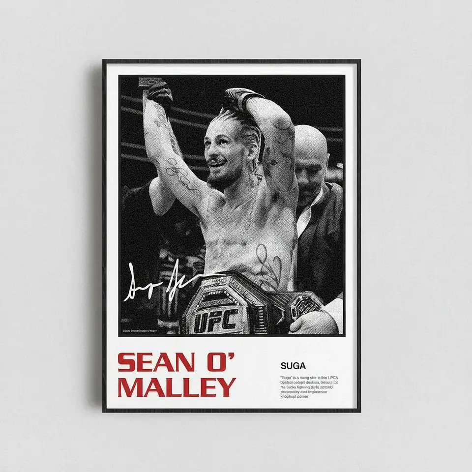 Cuadros De Sean Omalley II Ufc Peleador Mma + Marco 1