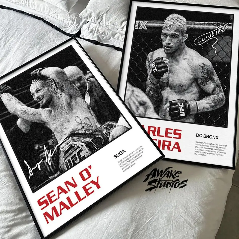 Cuadros De Sean Omalley II Ufc Peleador Mma + Marco 2