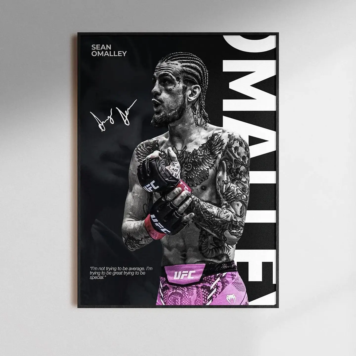 Cuadros De Sean Omalley III Ufc Peleador Mma + Marco 1