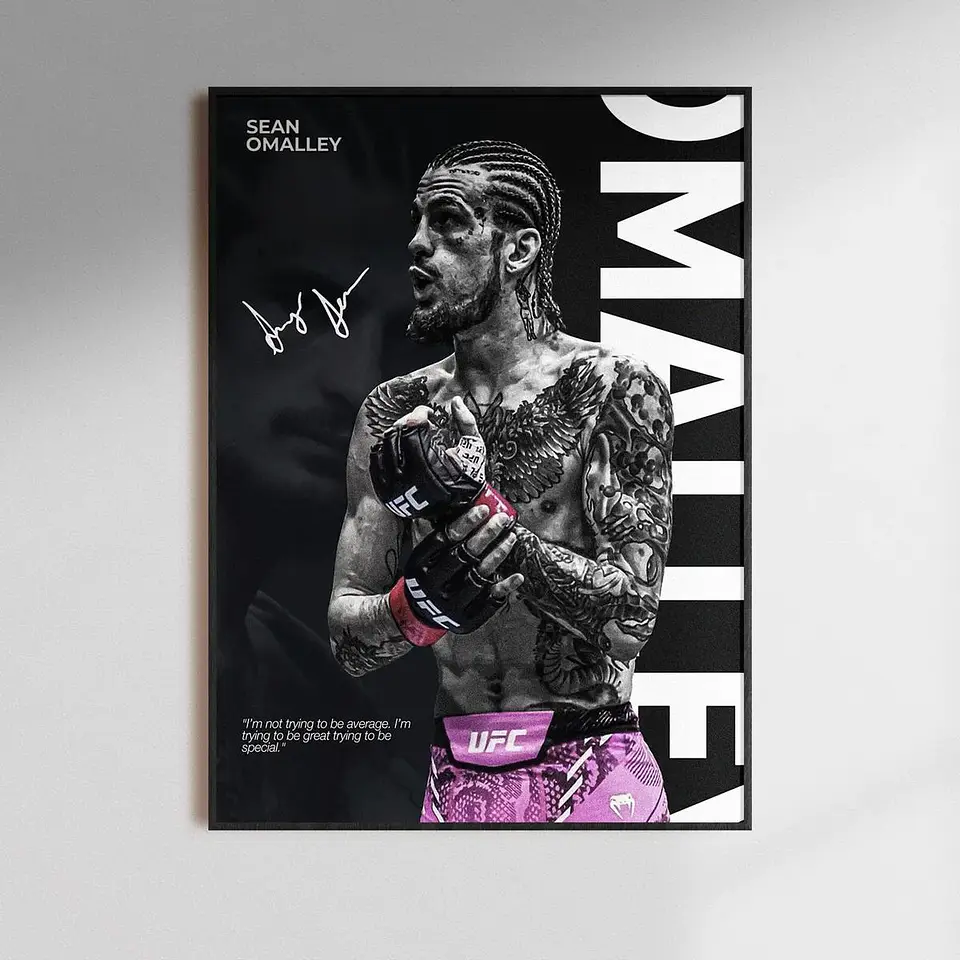 Cuadros De Sean Omalley III Ufc Peleador Mma + Marco 1