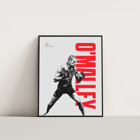Cuadros De Sean Omalley IV Ufc Peleador Mma + Marco