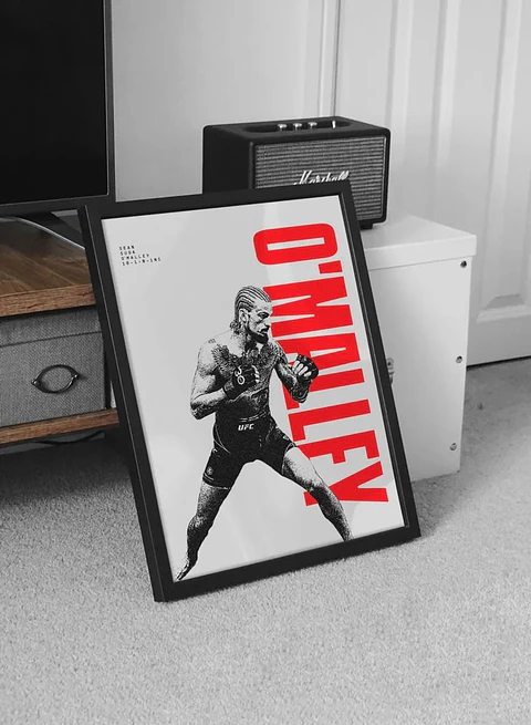 Cuadros De Sean Omalley IV Ufc Peleador Mma + Marco