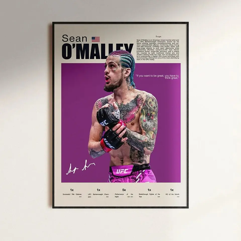 Cuadros De Sean Omalley V Ufc Peleador Mma + Marco 1