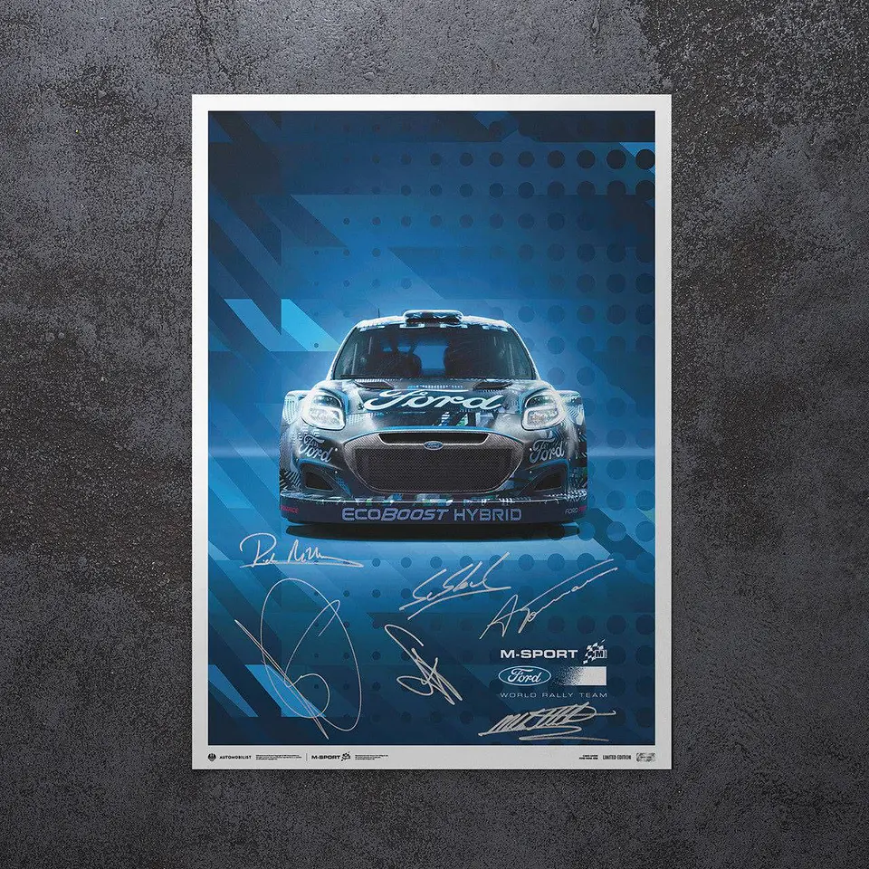 Cuadro Sébastien Loeb & Isabelle Galmiche Ford Rally Dakar 1