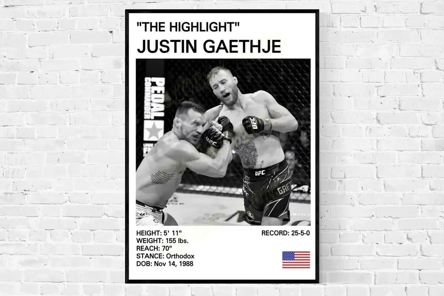 Cuadro de Justin Gaethje UFC VI  Peleador MMA + Marco 1