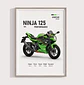 Cuadro Motos Kawasaki Ninja 125 Performance + Marco Negro - Miniatura 2