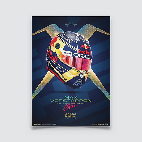 Cuadro Casco Max Verstappen Campeón F1 + Marco