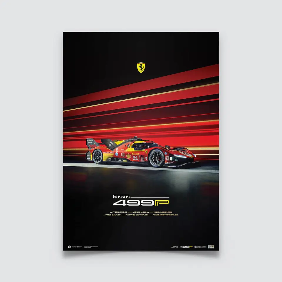 Cuadro Auto Ferrari 499p  Campeonato Mundial De Resistencia 2