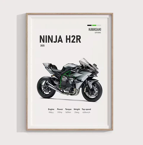 Cuadro Kawasaki Ninja H2r  Motociclismo Deportivo + Marco Negro