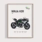Cuadro Kawasaki Ninja H2r  Motociclismo Deportivo + Marco Negro - Miniatura 1