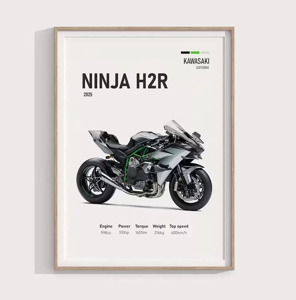 Cuadro Kawasaki Ninja H2r  Motociclismo Deportivo + Marco Negro 1