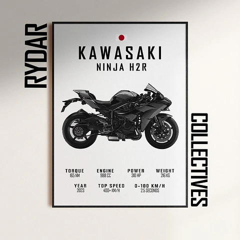 Cuadro Moto Kawasaki Ninja H2r + Marco