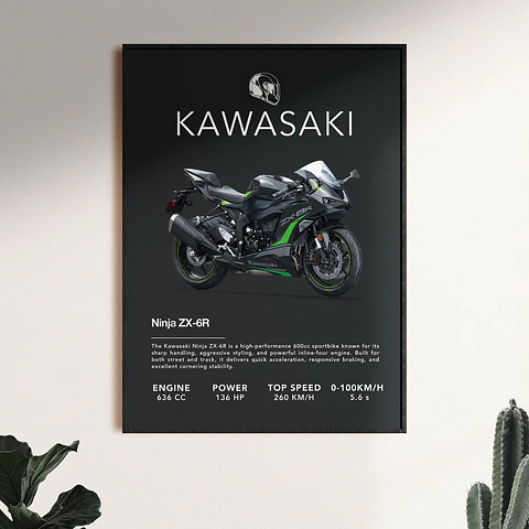 Cuadro Moto Kawasaki Ninja Zx-6r + Marco