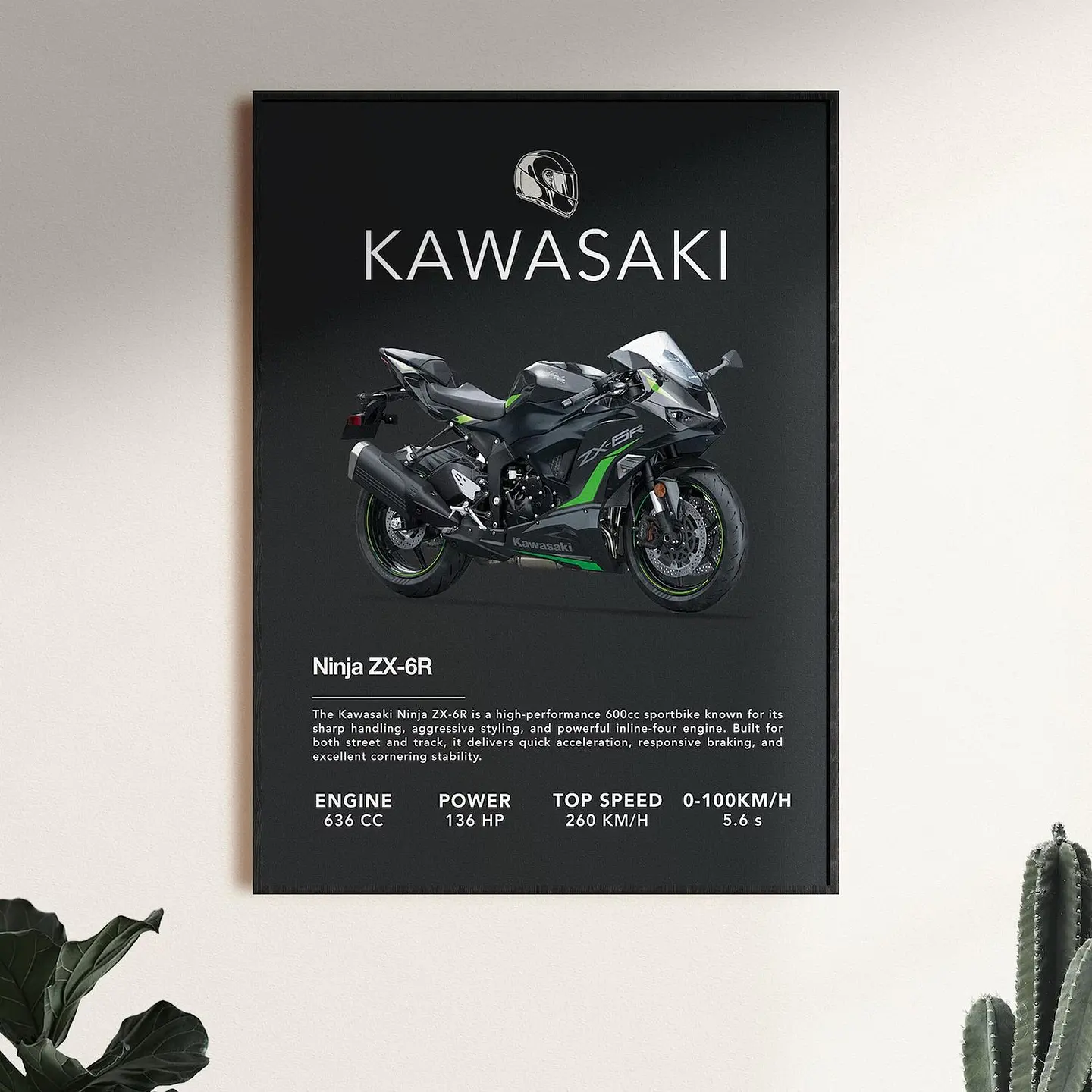 Cuadro Moto Kawasaki Ninja Zx-6r + Marco 1